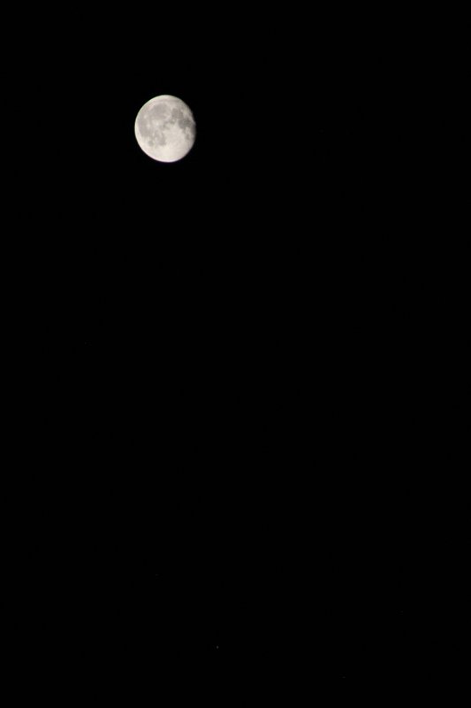 IMG_1883.JPG