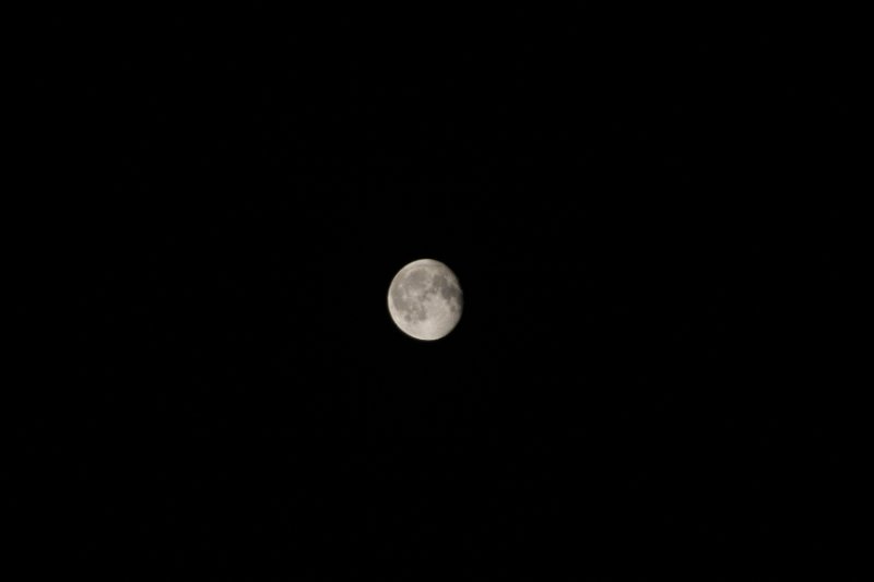 IMG_1890.JPG