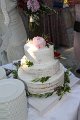 IMG_1524